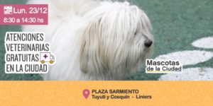 mascotas.JPG