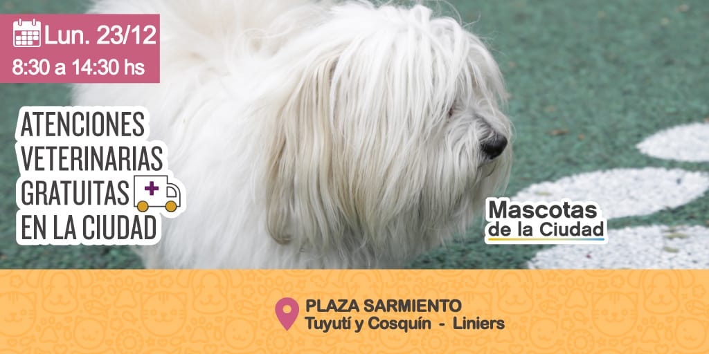 mascotas.JPG