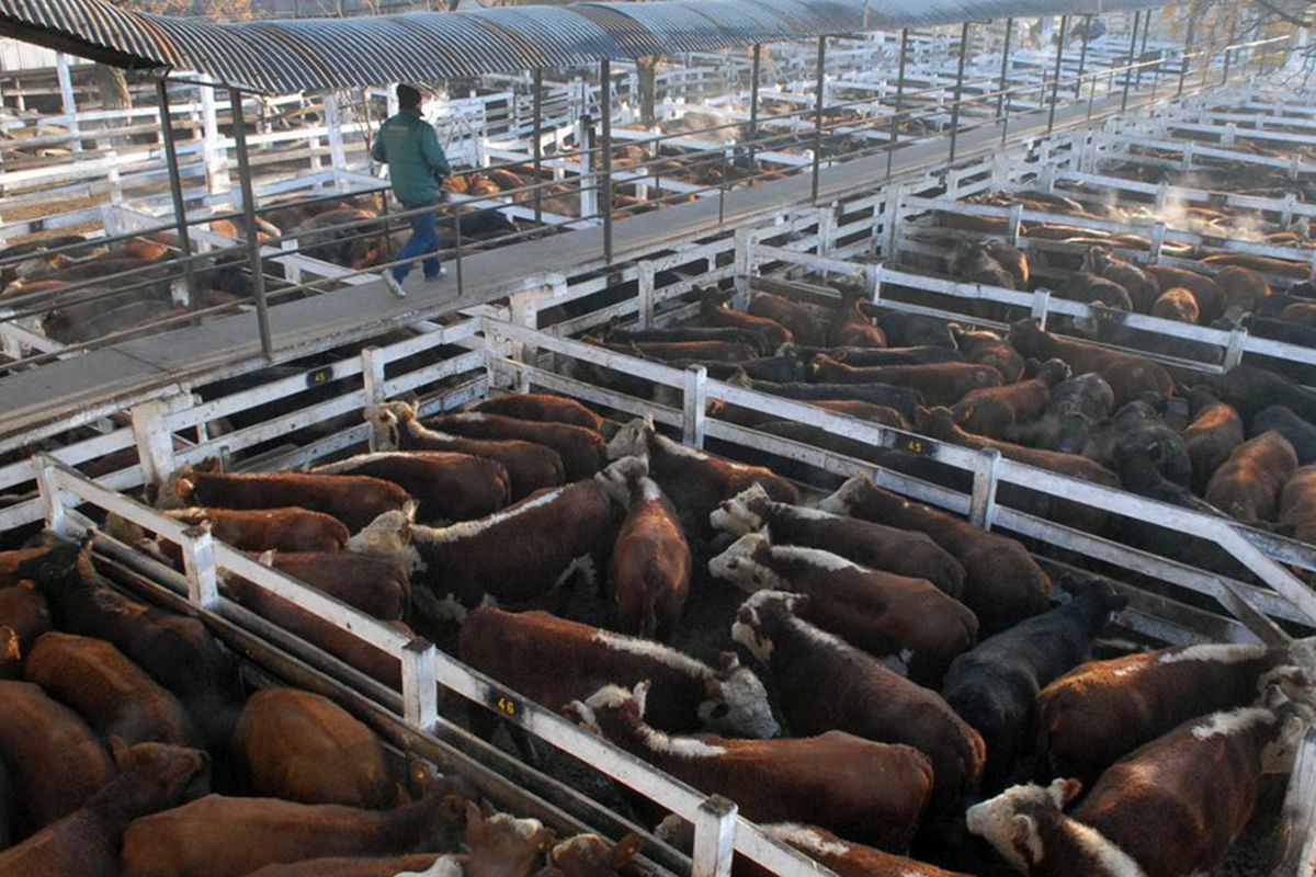 https://www.parlamentario.com/wp-content/uploads/2020/06/Mercado-de-hacienda.jpg