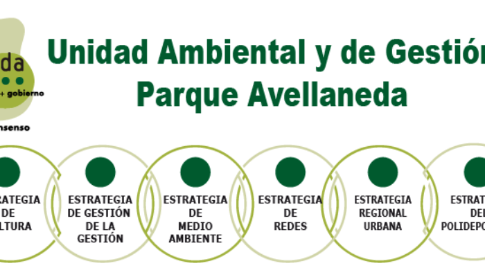 Primer Plenario Virtual de la Mesa de Trabajo y Consenso de Parque Avellaneda