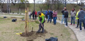 C:\Users\Liliana\Desktop\Página Liliana\Notas\Sin subir\Paruq Avellaneda plantación.jpg