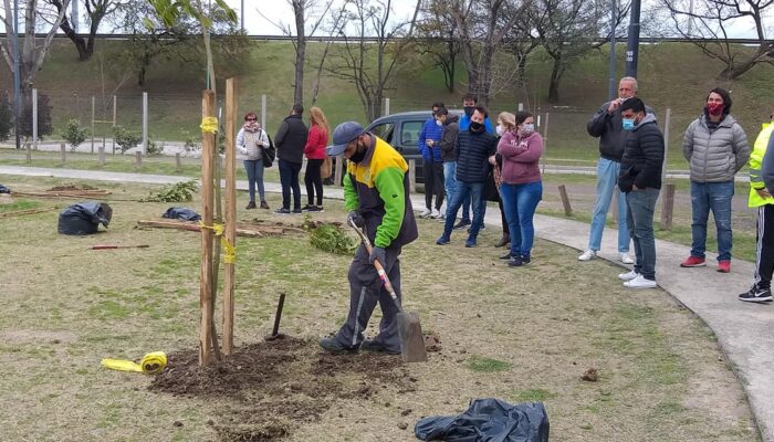 Comenzó la plantación de árboles en Parque Avellaneda