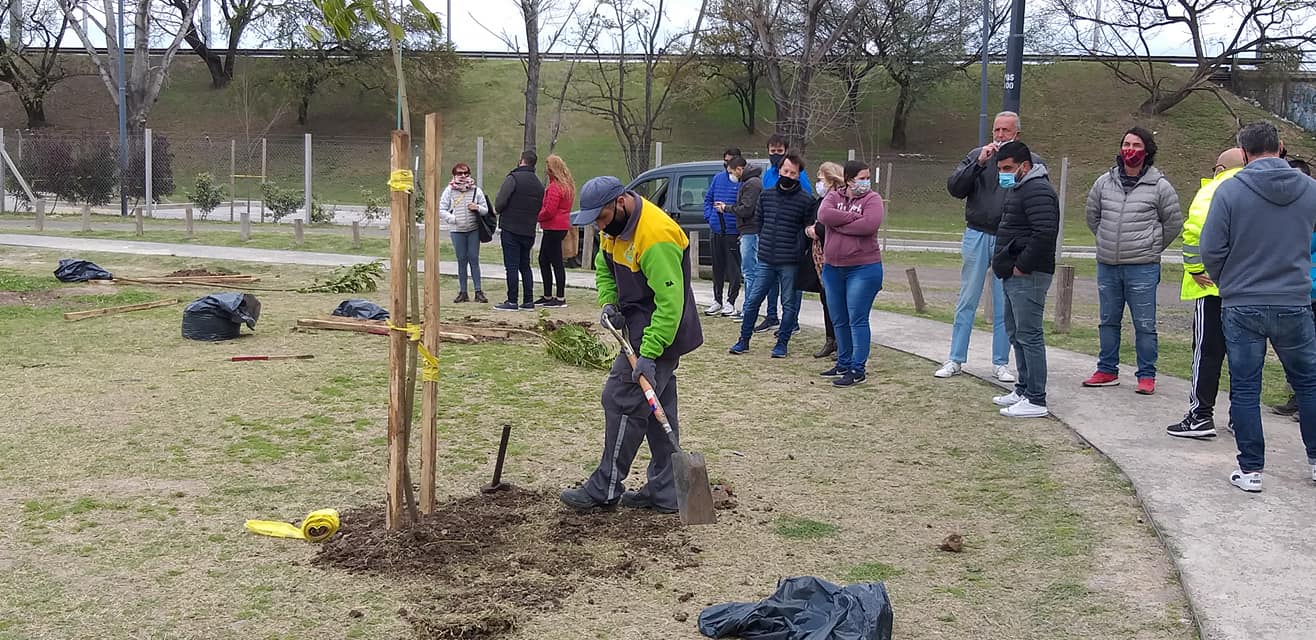 C:\Users\Liliana\Desktop\Página Liliana\Notas\Sin subir\Paruq Avellaneda plantación.jpg