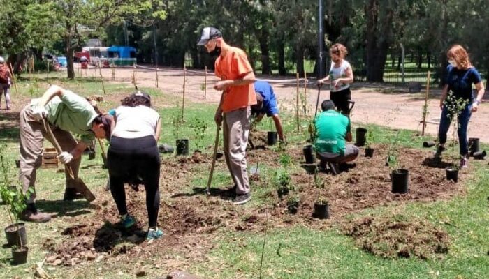 Plantación de árboles y plantas nativas en Parque Avellaneda