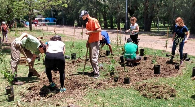 C:\Users\Liliana\Desktop\Página Liliana\Notas\Sin subir\Plantación parque avellaneda 2.jpg