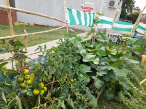 La imagen puede contener: planta y exterior
