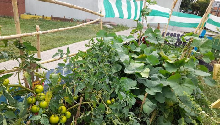 Huerta comunitaria abierta al barrio en Cildañez