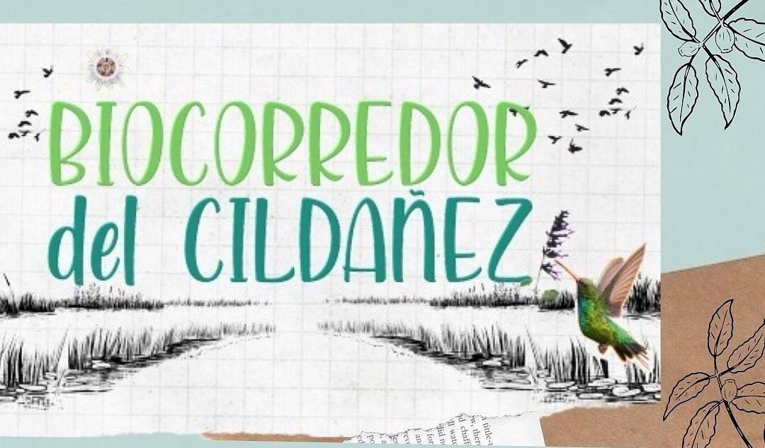 C:\Users\Liliana\Desktop\Página Liliana\Notas\Sin subir\cuenca en red 2.jpg