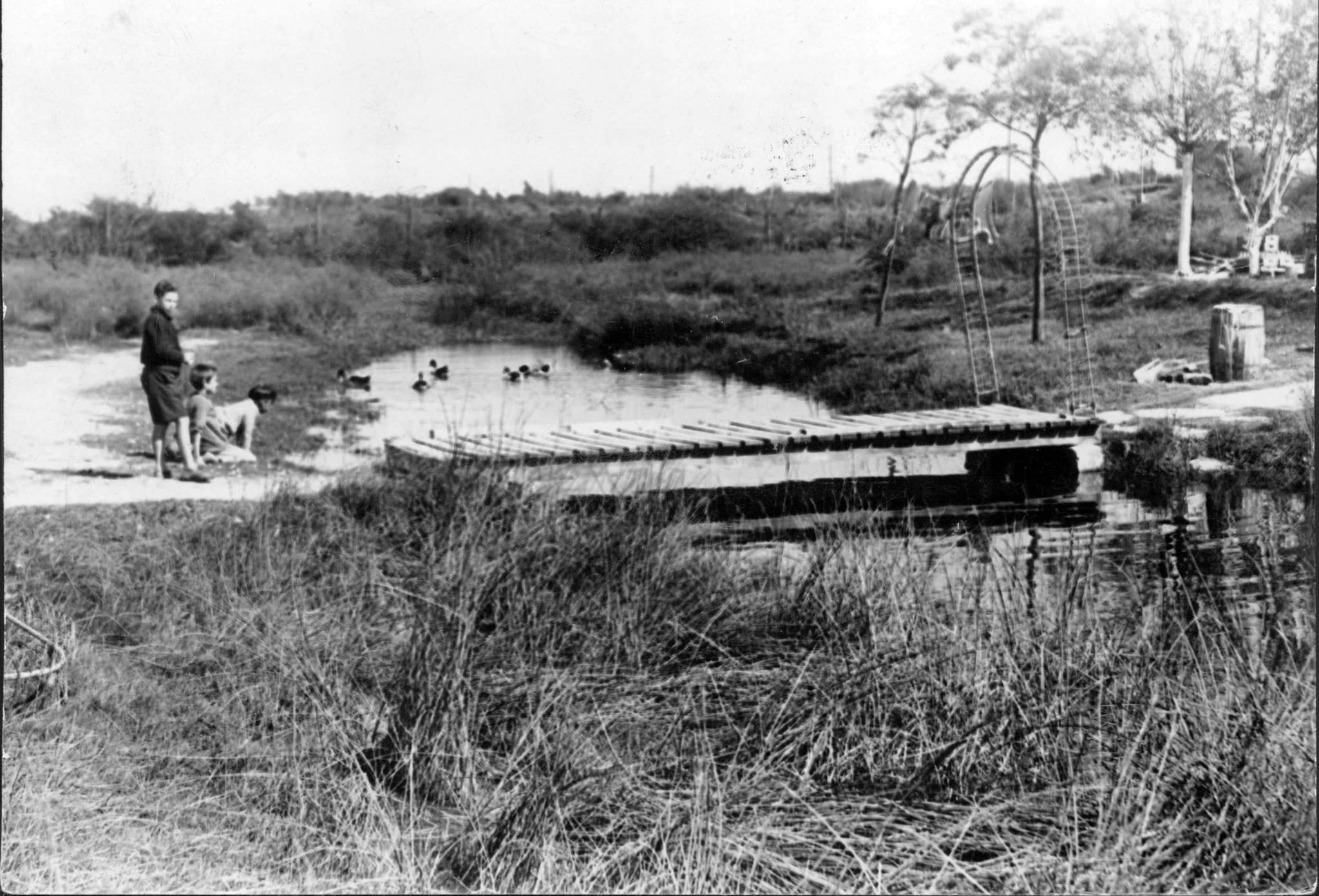 C:\Users\Liliana\Desktop\Biocorredor Cildañez\Bañado de Flores Arroyo año 1962 AGN Documento Fotográfico Inventario332613.jpg