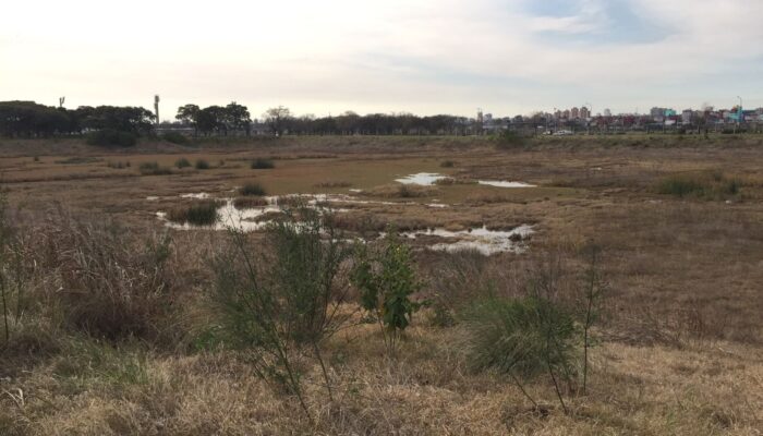 Biocorredor del Cildañez: recorrido y memoria