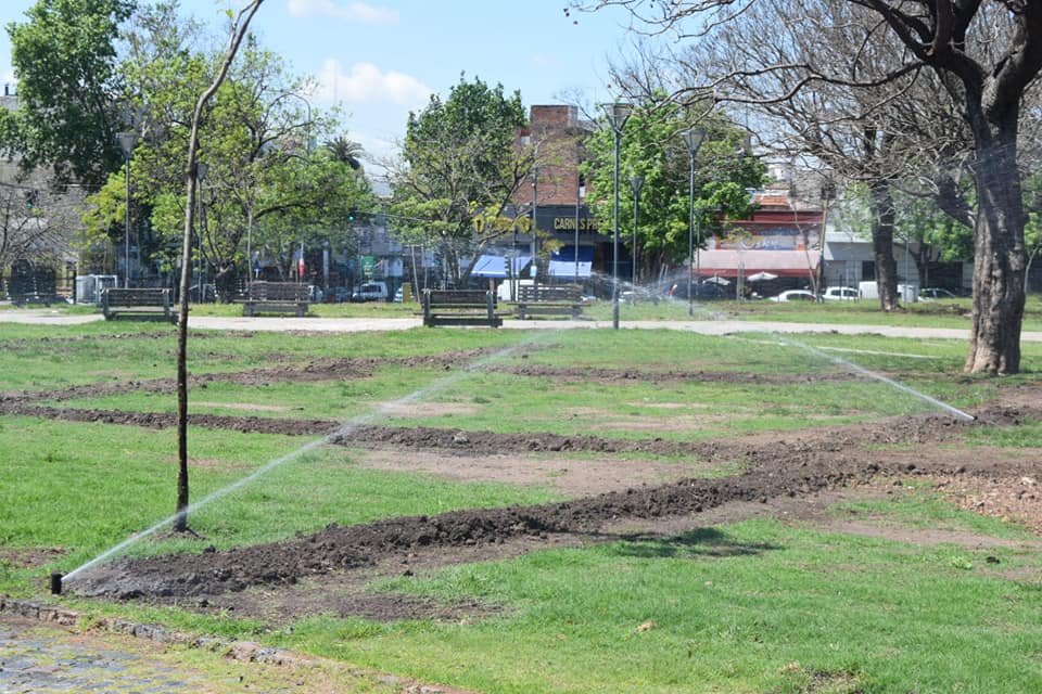 Puede ser una imagen de árbol y césped