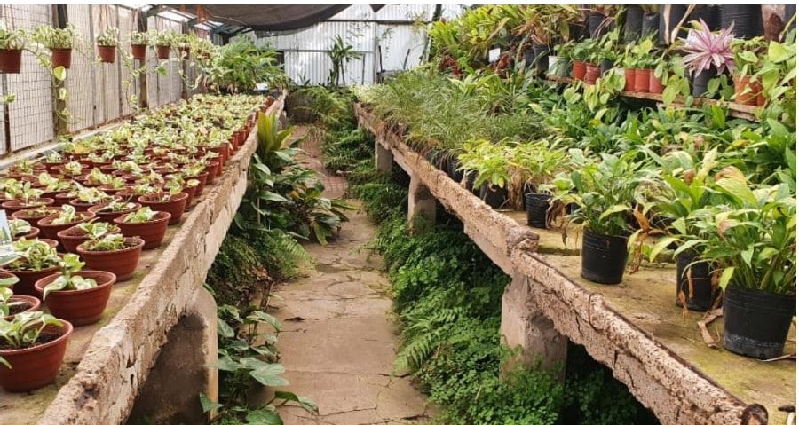 C:\Users\Liliana\Desktop\Página Liliana\Notas\Subidas noviembre\Obras Vivero\IF-2021-29092536- -DGEVYA foto_page-0001.jpg