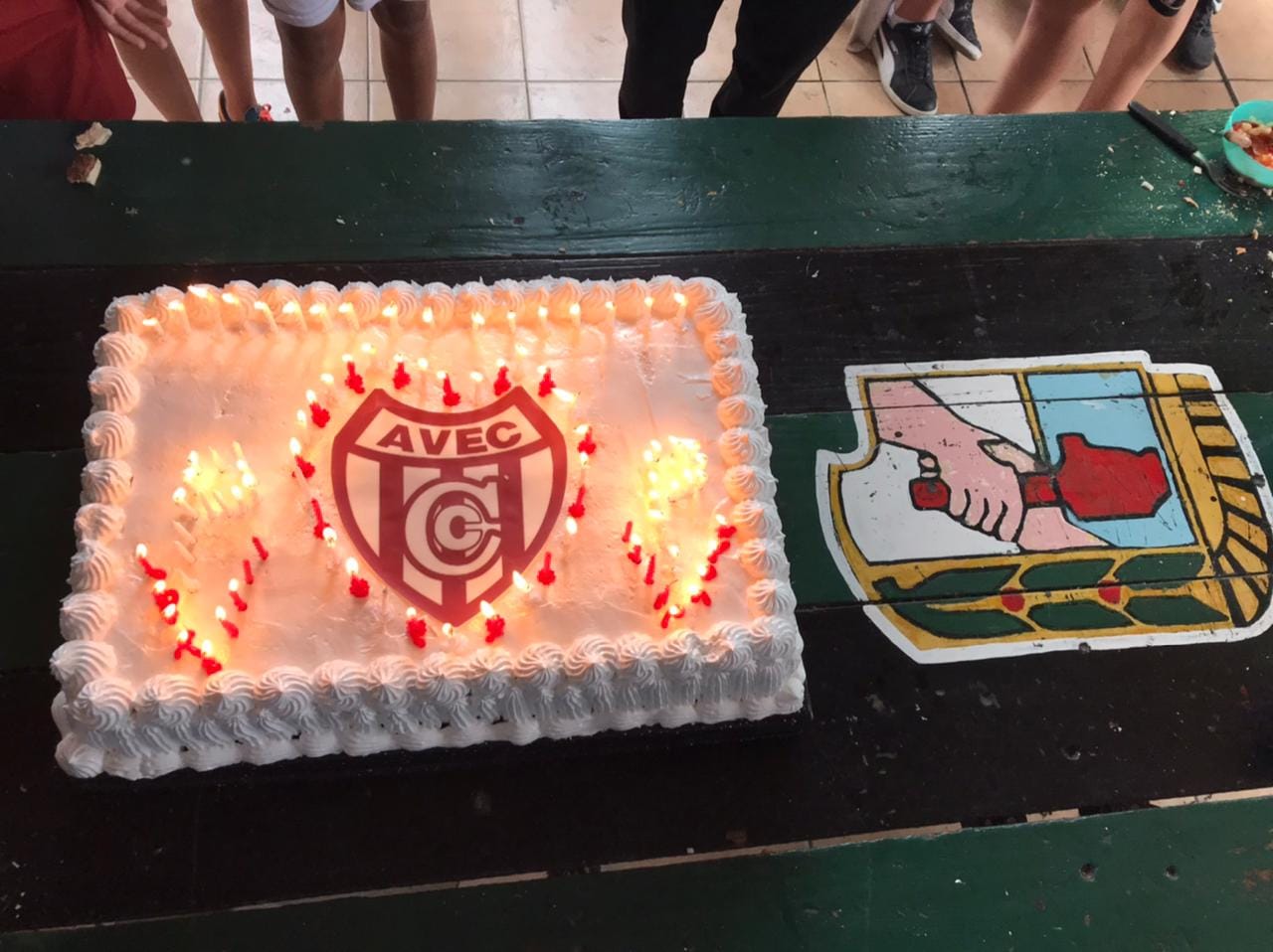 Puede ser una imagen de texto que dice "AVEC"