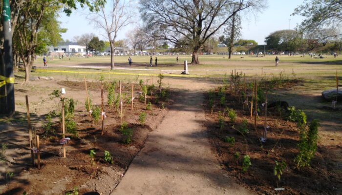 Sendero de interpretación de plantas nativas de Parque Avellaneda