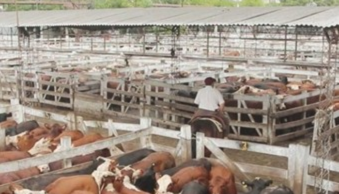 Nueva prórroga para el Traslado del Mercado de Hacienda