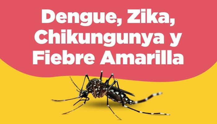 Cómo prevenir enfermedades transmitidas por los mosquitos