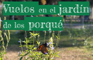 word-image