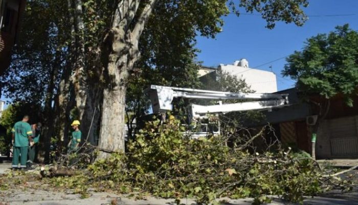 Continúan las tareas de poda lineal en la Comuna 9
