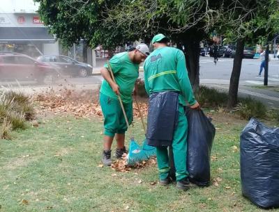 Tareas de Mantenimiento de Espacios Verdes en la Comuna 9