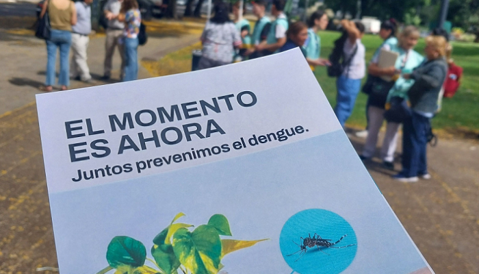 Dengue: monitoreo, control de criaderos y concientización