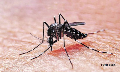 Campaña integral de prevención del dengue y plan de vacunación