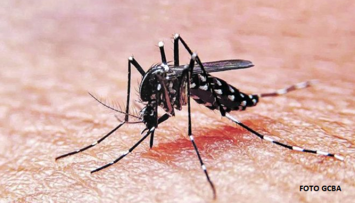 Campaña integral de prevención del dengue y plan de vacunación