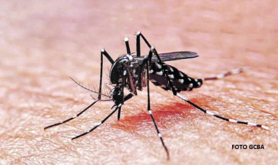 El GCBA comenzó la campaña de prevención del Dengue