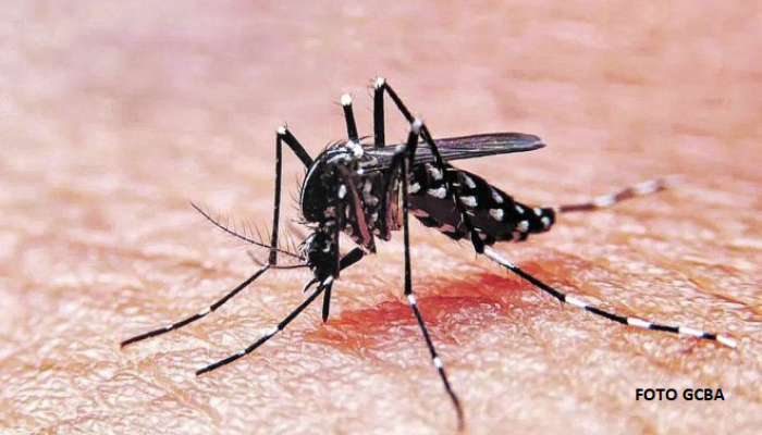 El GCBA comenzó la campaña de prevención del Dengue
