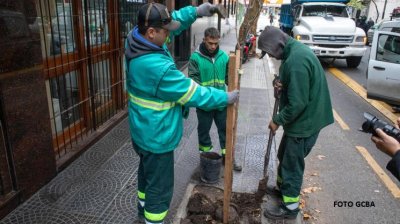 Ejecución del Plan Anual de Plantación de la Comuna 9
