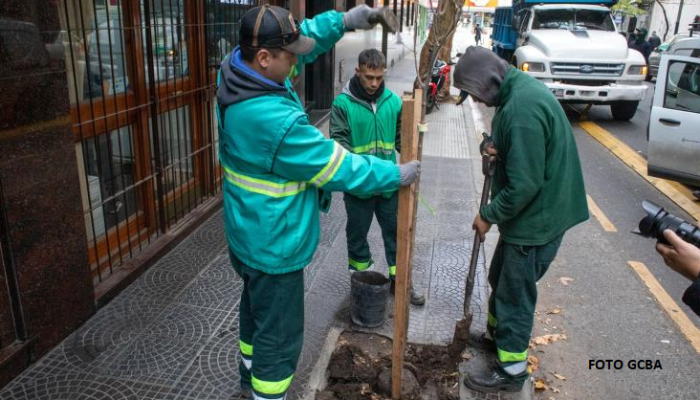 Ejecución del Plan Anual de Plantación de la Comuna 9