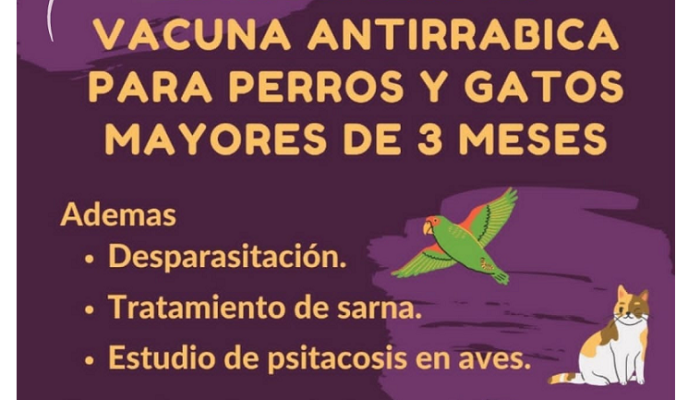Vacunación antirrábica en el Club Cárdenas