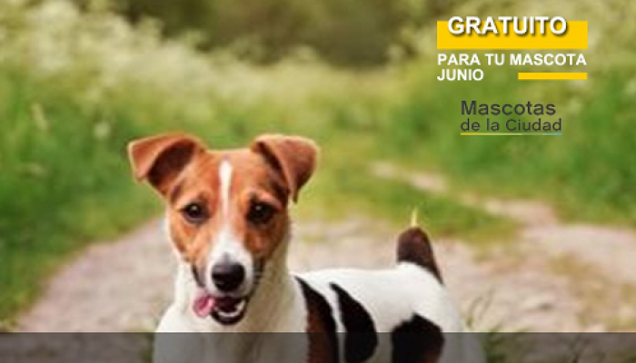 Vacunación antirrábica gratuita