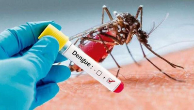 Comuna 9: reclaman acciones urgentes de prevención del dengue