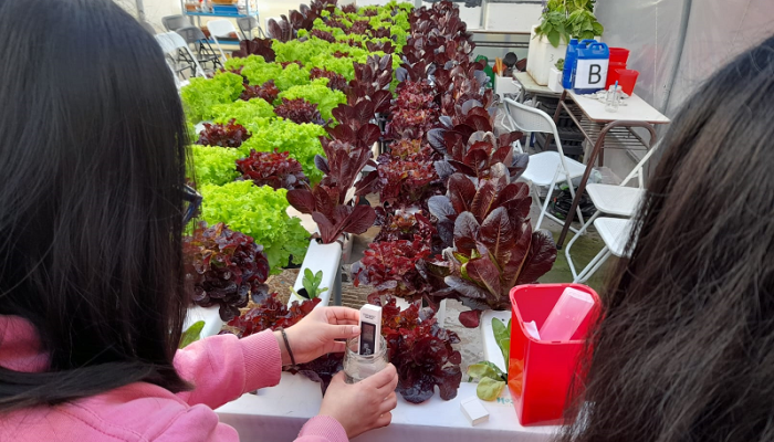 Prácticas profesionales y proyectos ambientales en escuela de Parque Avellaneda