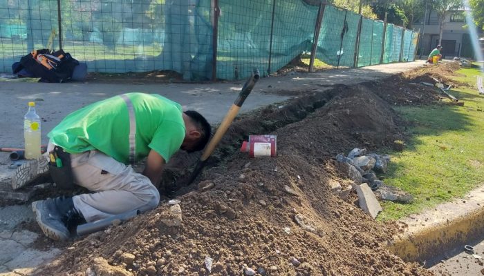 Colocación de un sistema de riego automático en la plaza Onésimo Leguizamón