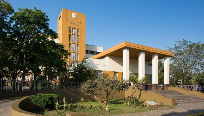 Informe de la Auditoría sobre la situación de la guardia del Santojanni