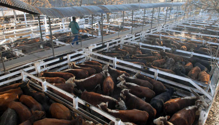 El Mercado de Hacienda deja de operar en Mataderos