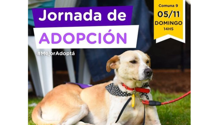 Adopción de mascotas y vacunación antirrábica gratuita en Parque Avellaneda