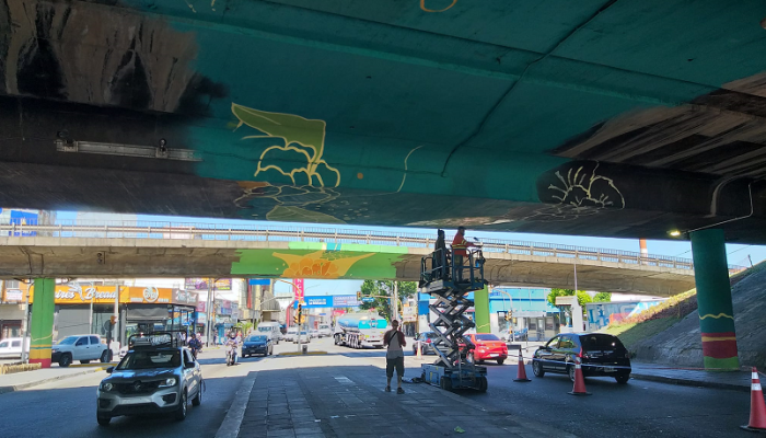 Mejoramiento del bajo Autopista de la Av. Gral. Paz y Juan Bautista Alberdi