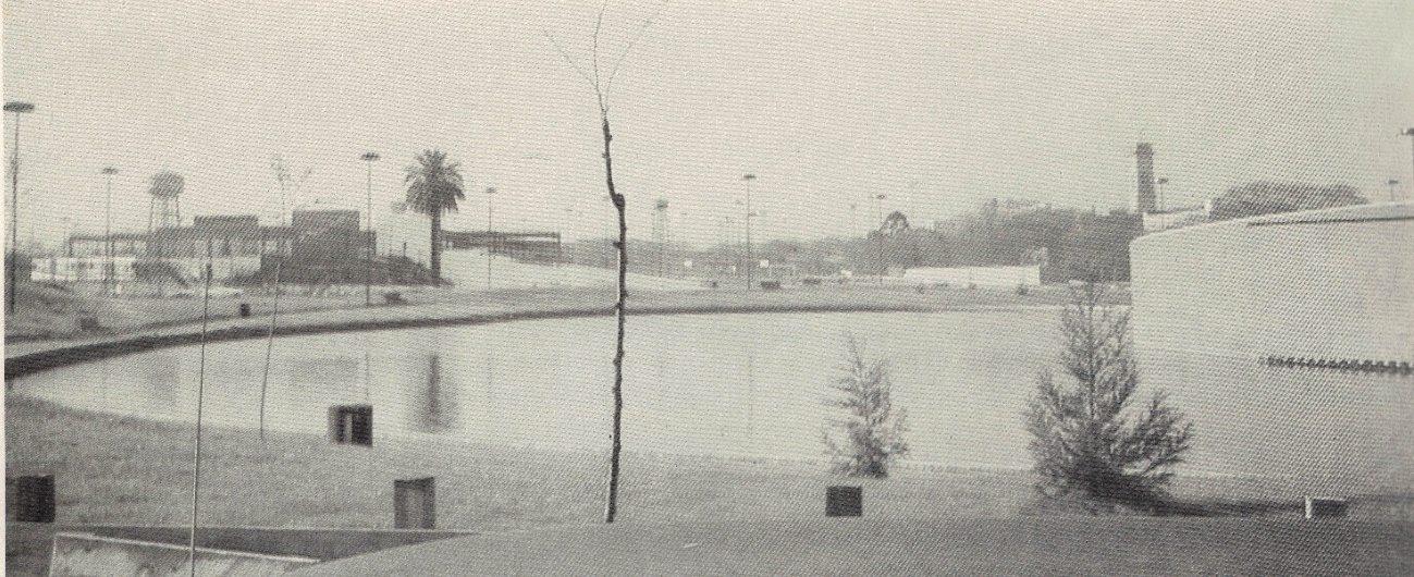 C:\Users\Liliana\Desktop\Página Liliana\Nuestro Barrio\Su historia\Fotografías\El barrio se consolida\Parque alberdi 1980  Vecchio12042020.jpg