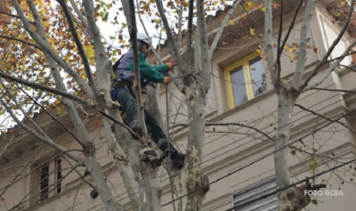 Con el invierno comenzaron las tareas de poda lineal o por corredores