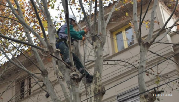 Con el invierno comenzaron las tareas de poda lineal o por corredores