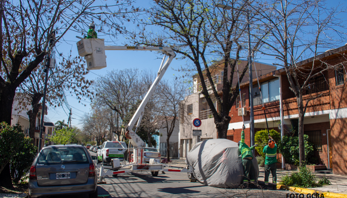Despeje de Luminarias y Cámaras de vigilancia en la Comuna 9